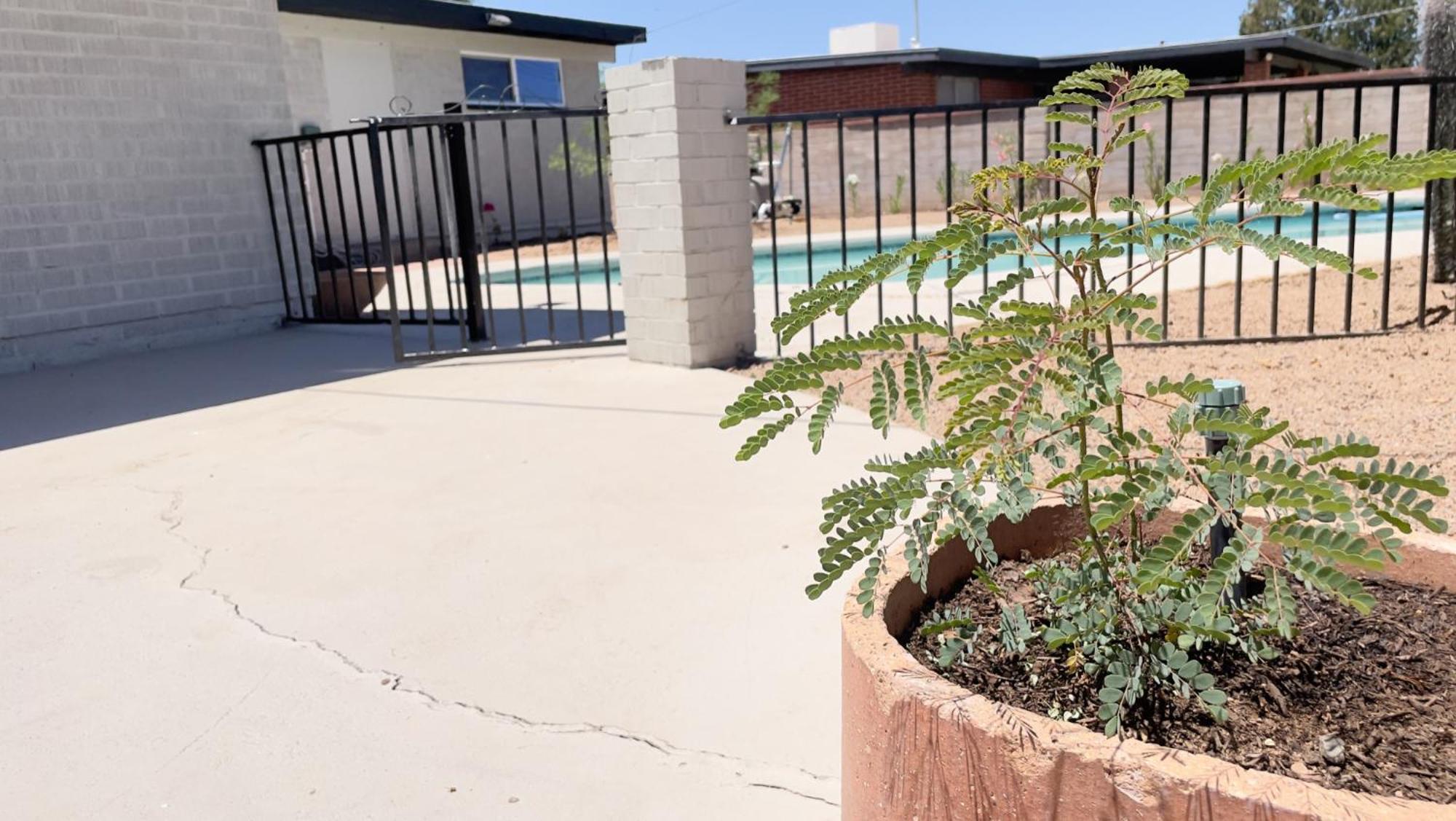Private Home - Heated Pool, Billiards, Darts, Foosball, Fireplace, 5 Smart Tvs, Bbq, Cotton Bedding - The Saguaro Sanctuary, Pool Heat Optional Tucson Eksteriør bilde